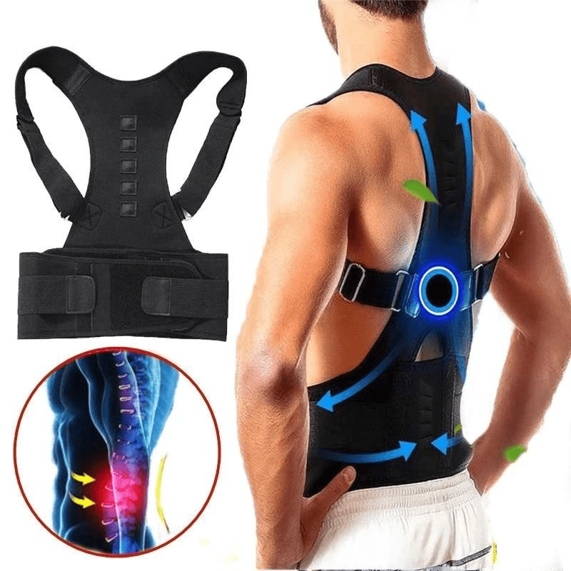 Back Brace, Lightweight Adjustable Support | Everhikes - Everhikes