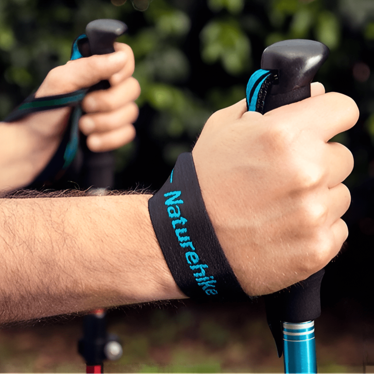 Trekking Poles, Lightweight Folding | Everhikes - Everhikes