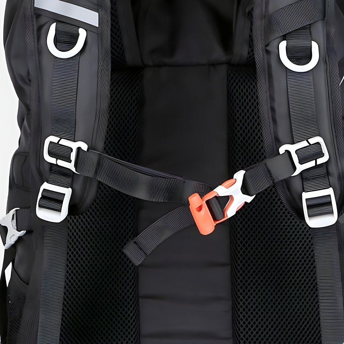 Durable Trekking Backpack with 50L Capacity | Everhikes