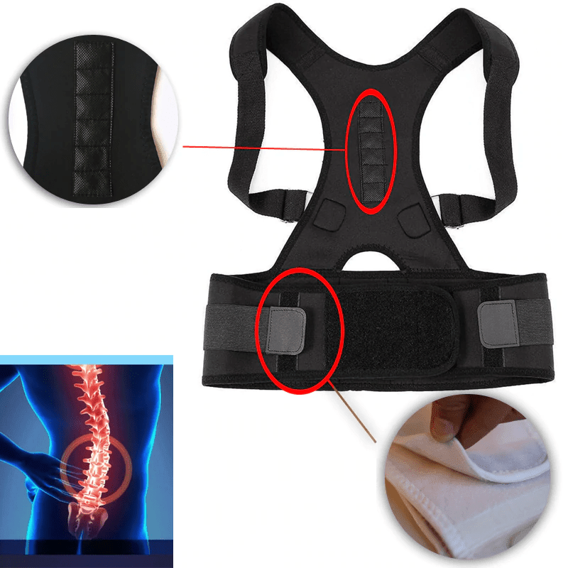 Back Brace, Lightweight Adjustable Support | Everhikes - Everhikes