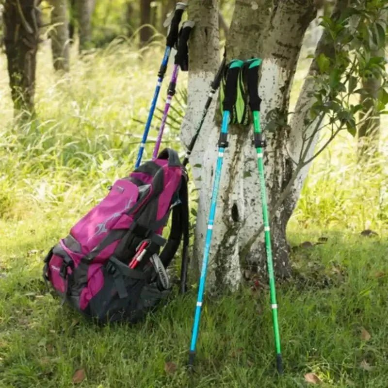 Trekking Pole – Lightweight Folding Hiking Pole | Everhikes - Everhikes